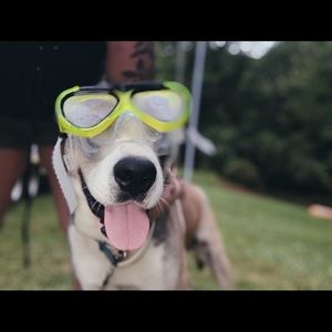 Meet your Posher, Chad